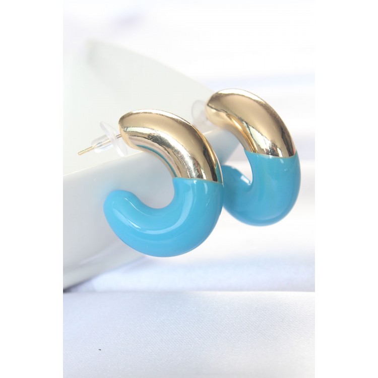 CCB Blue Gold Two-Tone Earrings - TJ-BKP8876