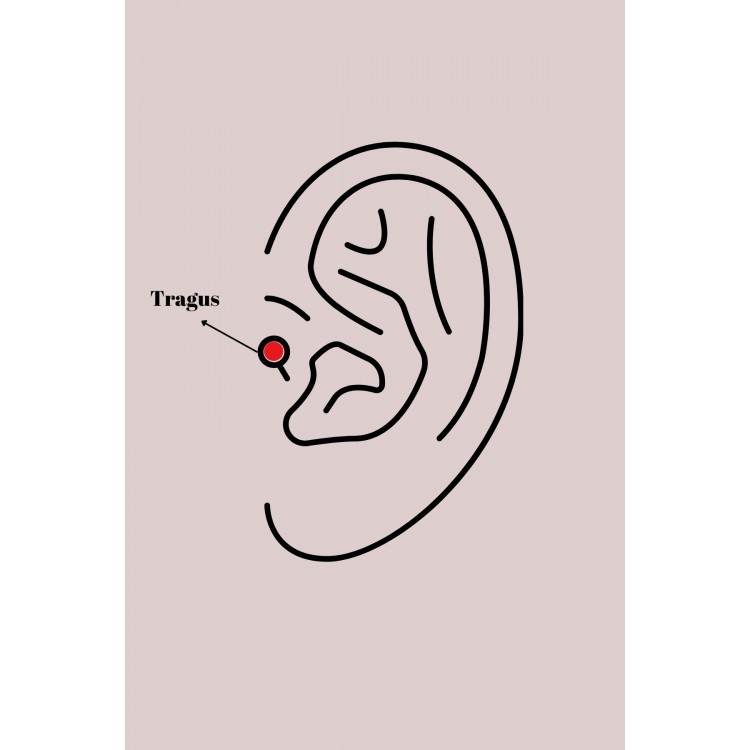 316L Çelik Gümüş Renk Pembe Mineli Kalp Zirkon Taş Detay Tragus Piercing - TJ-PR1261