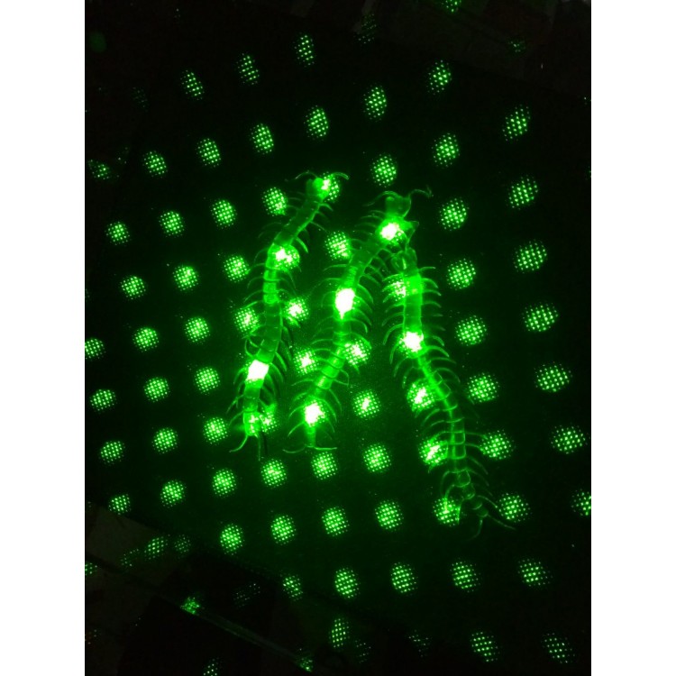 Joke Snake and Centipede Mix 36 Pieces Joke Snake and Centipede Mix 36 Pieces