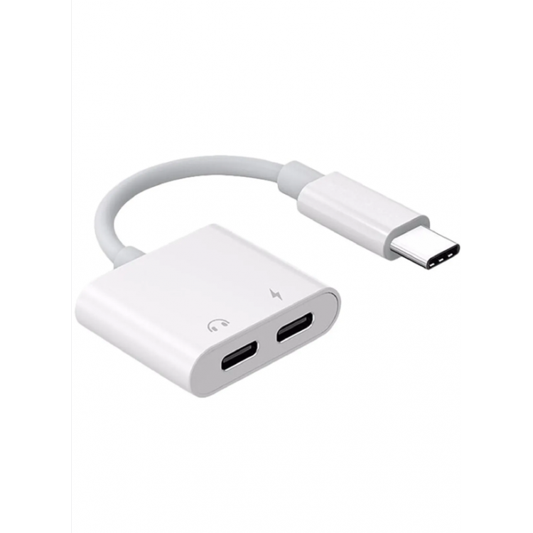 ZR293 Ftac42 Type-C 2 İn 1 Converter Adaptör