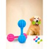 Rattle Pet Toy