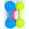 Rattle Pet Toy