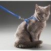 Cat Neck and Chest Harness