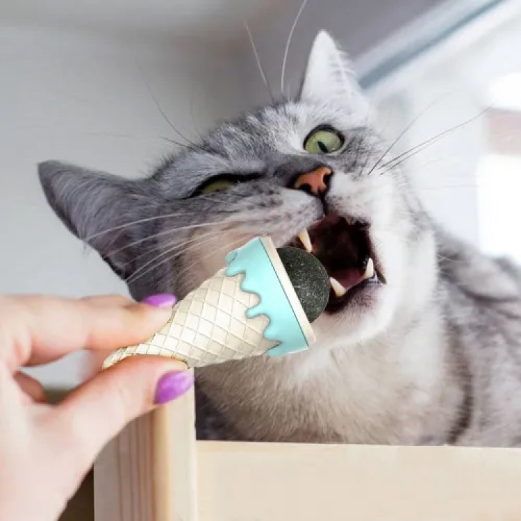 Catnip in Ice Cream Form