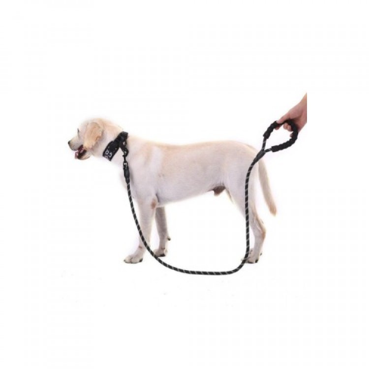 Reflektörlü Köpek Tasması 130 Cm.