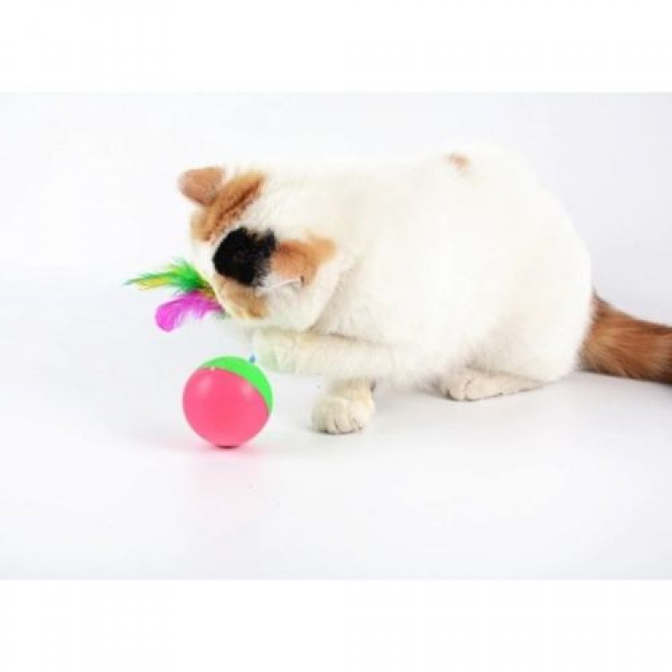 Cat and Mouse Tumbler Game