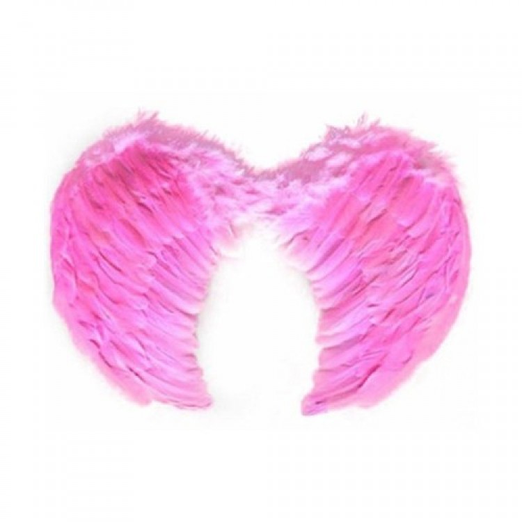 Pembe Melek Kanadı Kostümü Küçük Pembe Melek Kanadı Kostümü Küçük