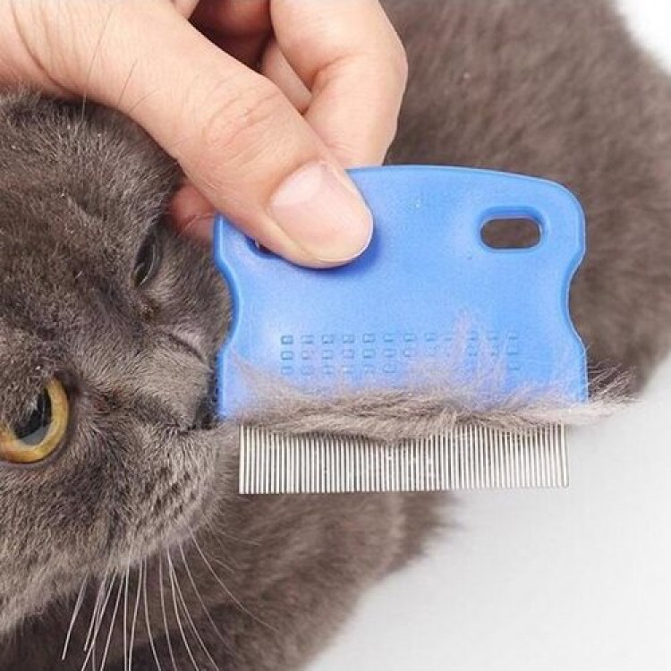Flea Comb for Cats and Dogs Flea Comb for Cats and Dogs