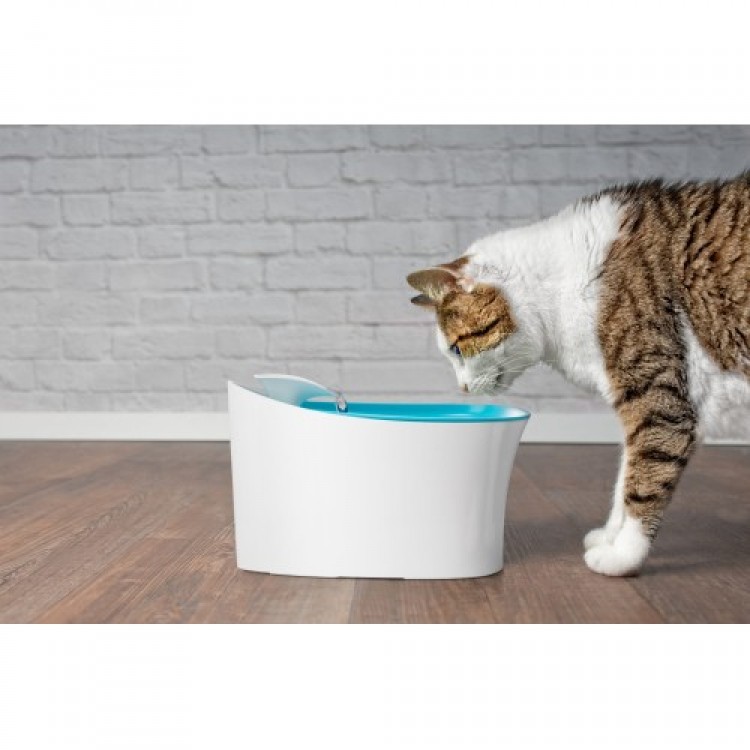 Automatic Warning Cat Dog Water Bowl