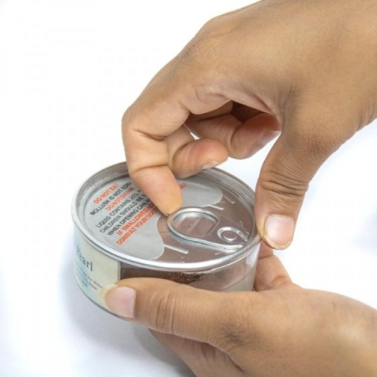 İstridye İçinde İnci Kolye İstridye İçinde İnci Kolye