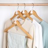 Closet Hanger Organizer