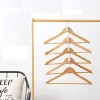 Closet Hanger Organizer
