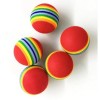 RAINBOW COLORED CAT AND DOG TOY BALL
