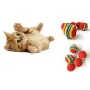RAINBOW COLORED CAT AND DOG TOY BALL