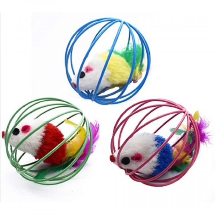 Cage Mouse Cat Dog Play Ball
