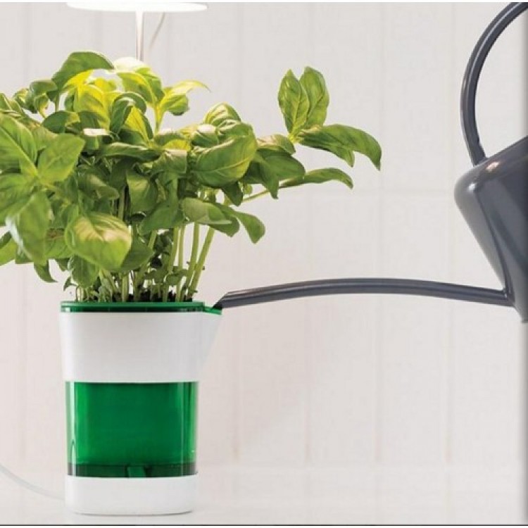 Fast Plant Growing Pot Fast Plant Growing Pot