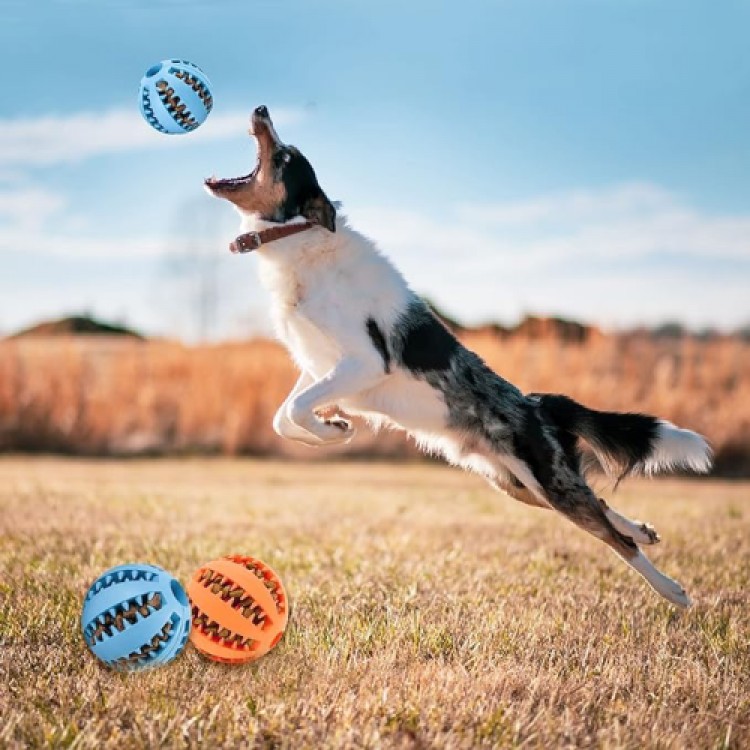 Dog Training and Play Ball with Food Dispenser Dog Training and Play Ball with Food Dispenser