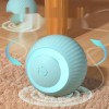 Smart Interactive Pet Toy