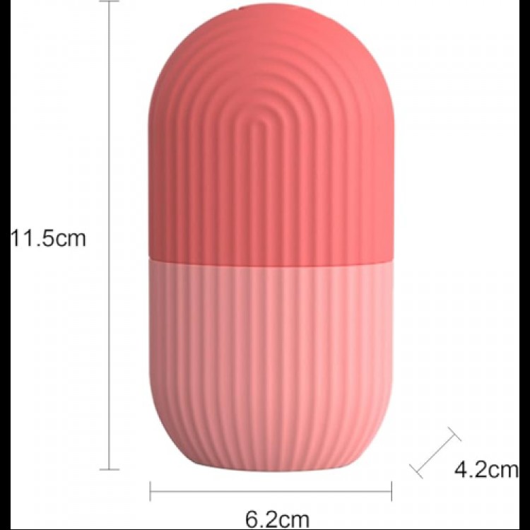 Skin Care Ice Face Roller