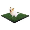Dog Potty Training Set