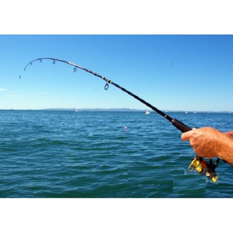 Fishing Line 300 Meters