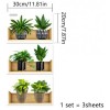 Shelf-Style Plant Design Adhesive Sticker 20*30 cm 3-Piece Set