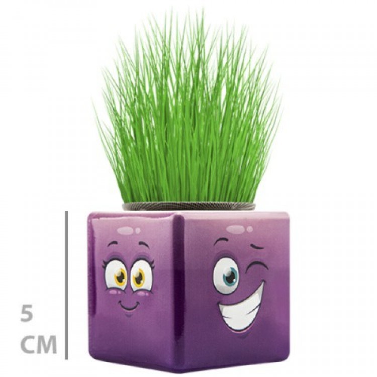 Çim Adam Mini Küp Emoji Figürlü 1 Adet