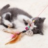 Cat Toy Fishing Rod 90 cm Cat Toy Fishing Rod 90 cm