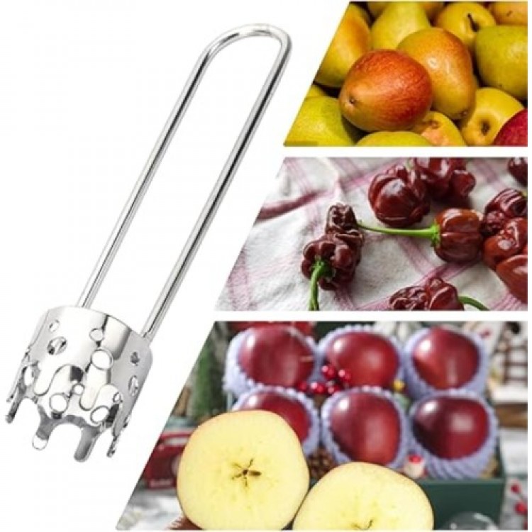 Fruit and Vegetable Seed Extractor Fruit and Vegetable Seed Extractor