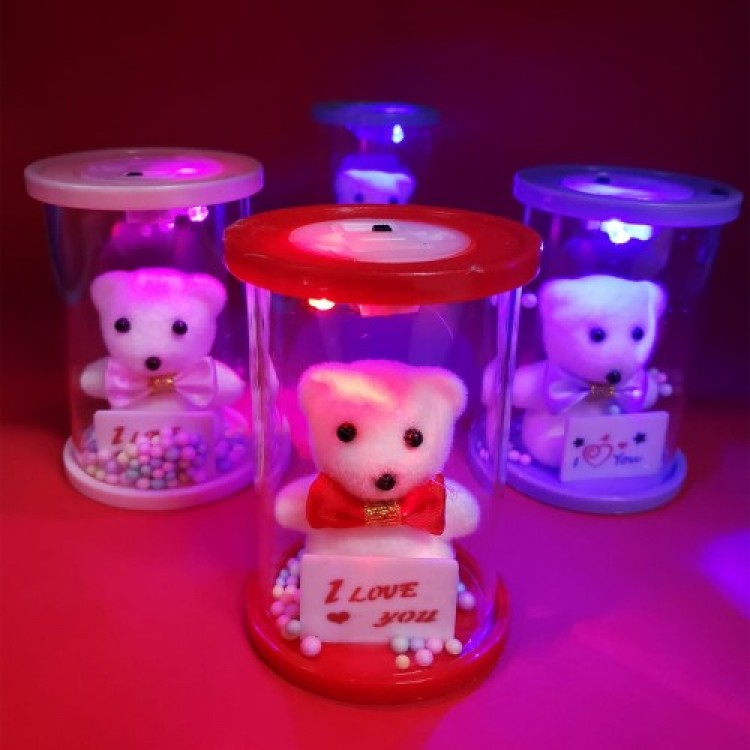 Bear in a Lighted Glass Dome