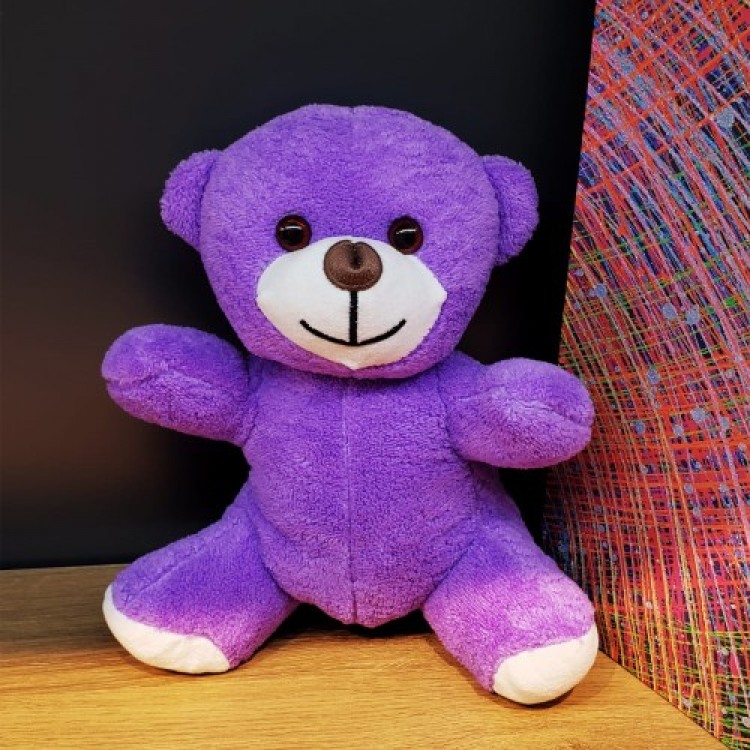 Plush Toy Bear