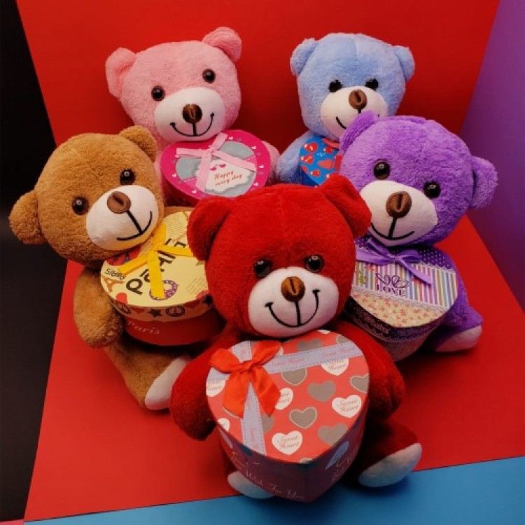 Boxed Plush Teddy Bear