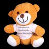 Teacher's Day Gift Plush Bear