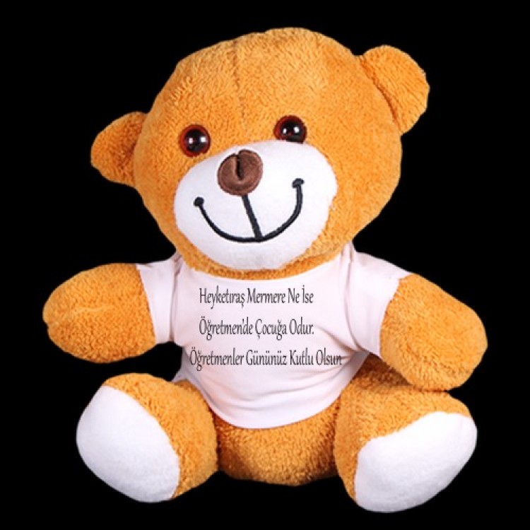 Teacher's Day Gift Plush Bear
