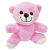 Teacher's Day Gift Plush Bear