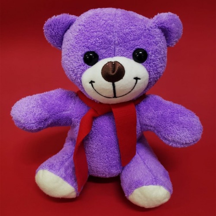 Teacher's Day Gift Plush Bear