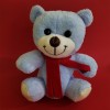 Teacher's Day Gift Plush Bear
