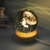 Lighted Decorative USB Glass Globe