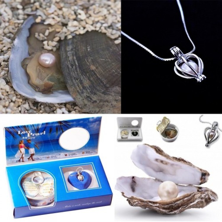 Pearl Necklace Set in an Oyster Pearl Necklace Set in an Oyster