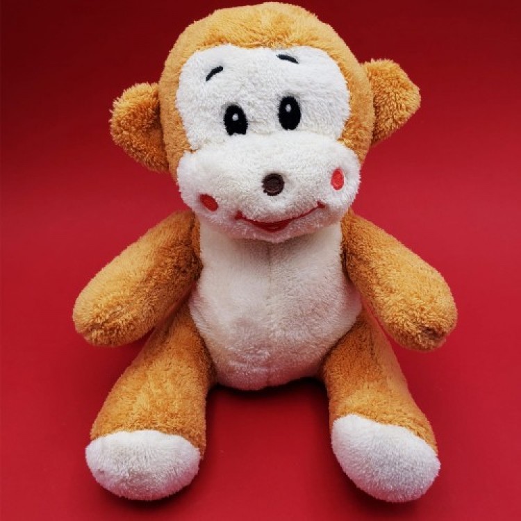 Toy Monkey