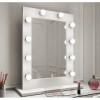 Makeup Mirror Light 10 LED Lights