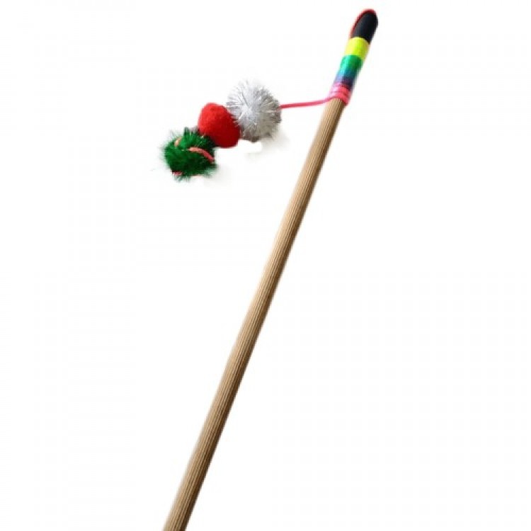 Kedi OLTASI Kedi OLTASI