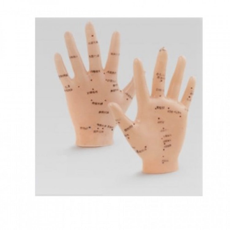 Enerji Akışı EL Maketi Enerji Akışı EL Maketi