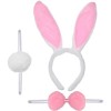 Tavşan Kostüm Seti Taç Papyon Kuyruk Pembe Renk