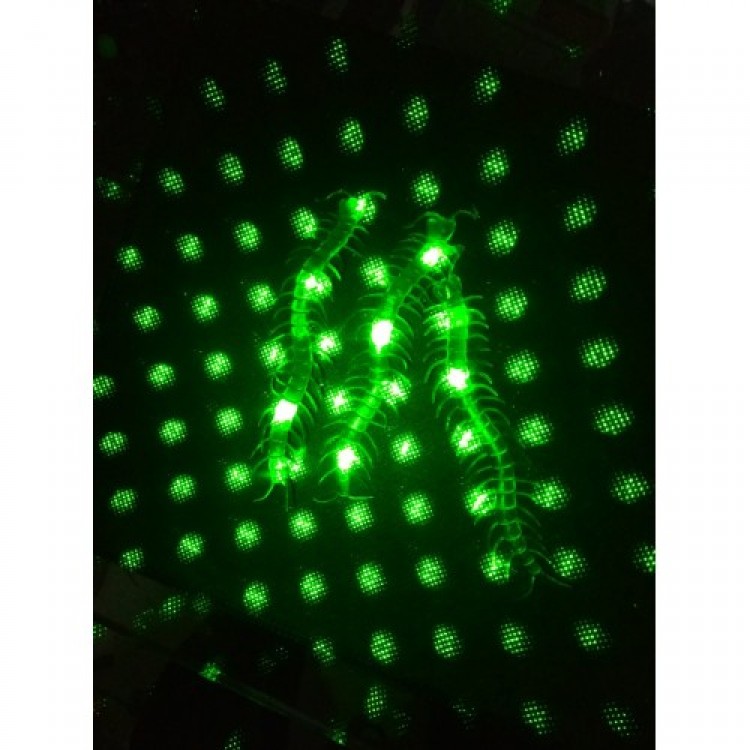 Şaka Yılan ve Kırkayak Karışık 36 Adet